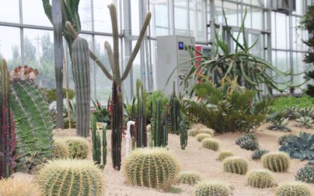 Shungeng Manor Ecological Park