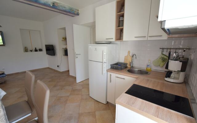 Apartment Srsic