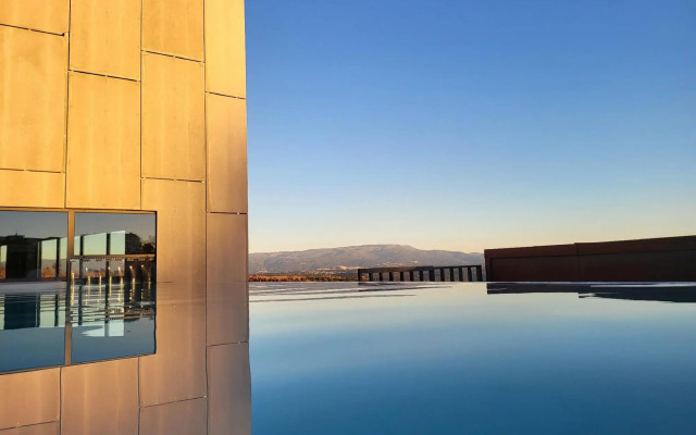 Отель Puro Dão Hotel & Spa