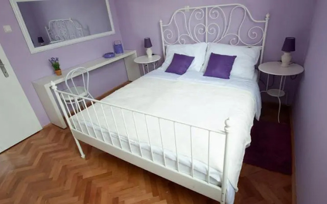 Center of City Apartments