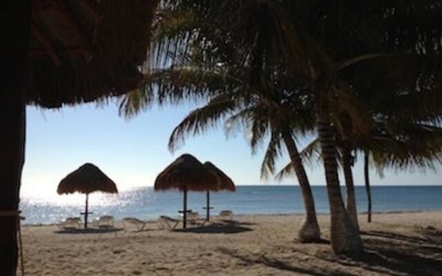 Pavo Real Tulum