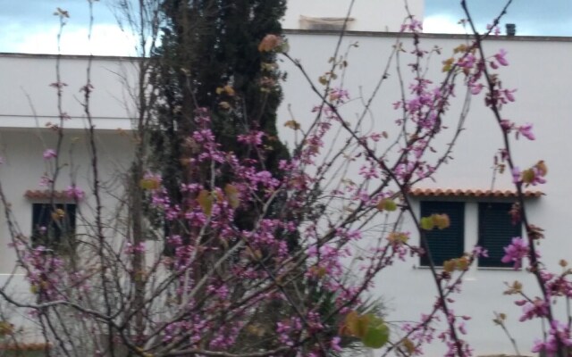 Casa di Maria