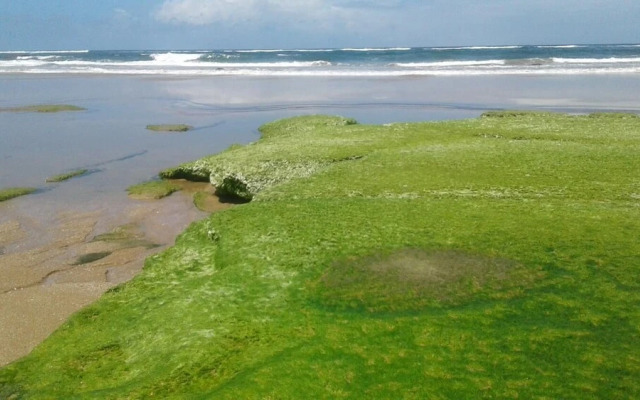Paraiso de Chidenguele Resort