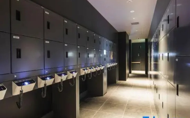 Sotetsu Hotels The Splaisir Yokohama