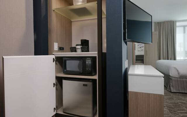 SpringHill Suites by Marriott Texas City