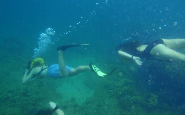 Scuba Portobelo