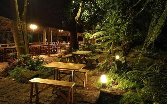 Young Coconut Garden Home Resort