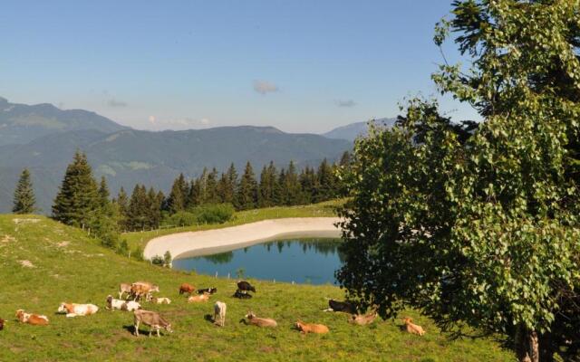 Apartment MOUNTAIN PARADISE Golte