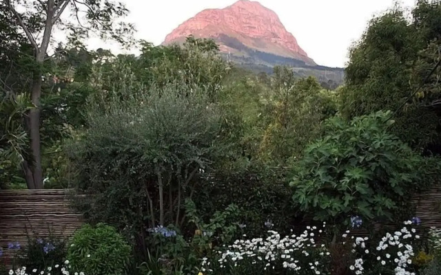 Blaauwheim Guest House