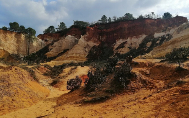 La Magnanerie - Côté Bistro