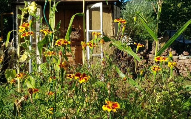 Le jardin des gouttes