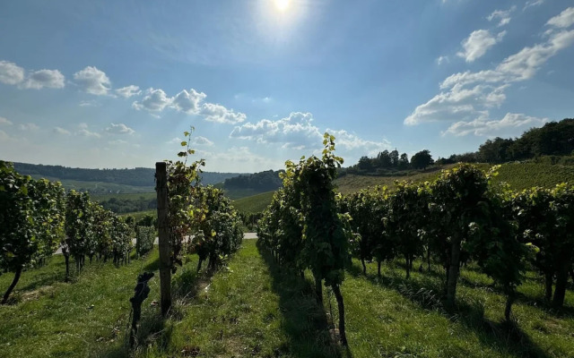 Holiday Home for Groups in Kinheim