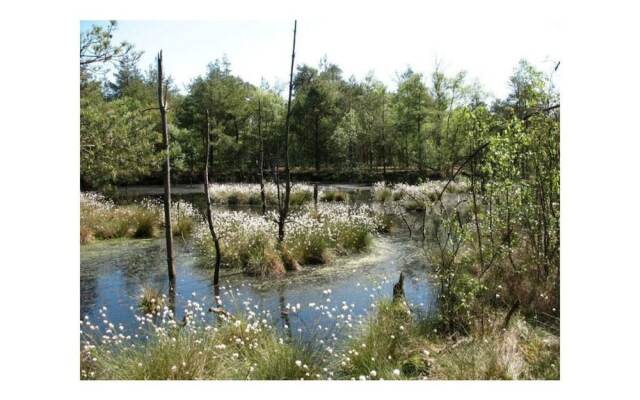 Sophienhof Lieselotte