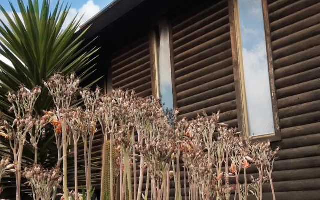 Cabañas Punta de Lobos