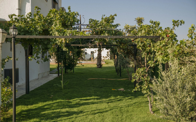 Ali Baba Ciftligi Alacati