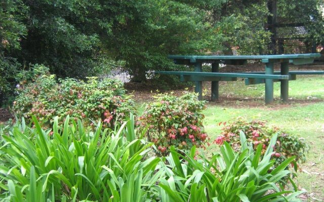 Palmwoods Caravan Park