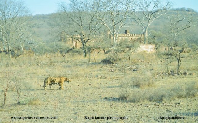 Tiger Heaven Spa & Resorts Ranthambhore