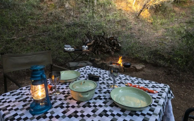 Stargazer Camp - Bellevue Forest Reserve