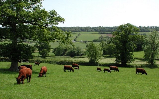 Whitcombe Cottage