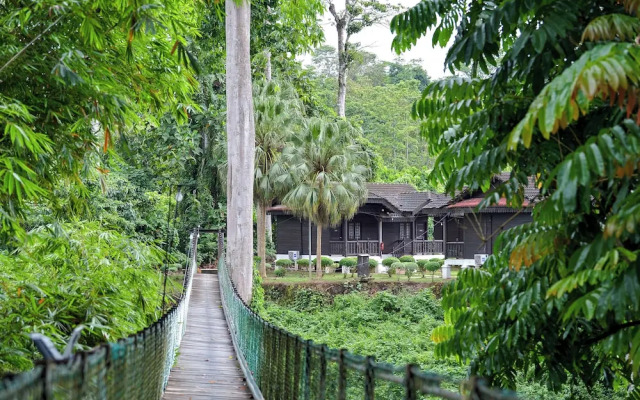 Hotel O Asiacamp Resort National Park Kuala Tahan