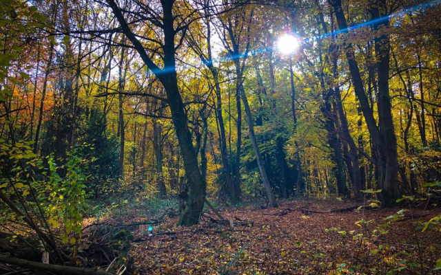 Hexenhäuschen Dreieichenhain
