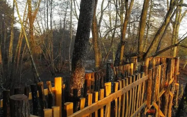Cabane des cerfs