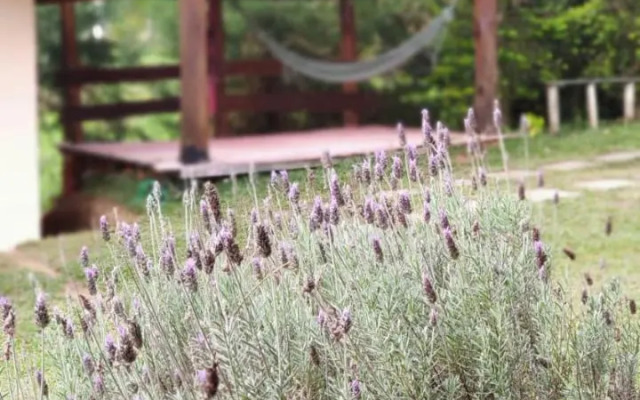 Vinícola Vale do Vinho