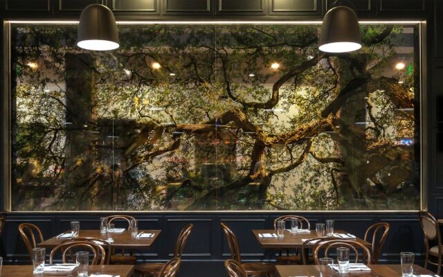 Hotel Indigo Savannah Historic District by IHG