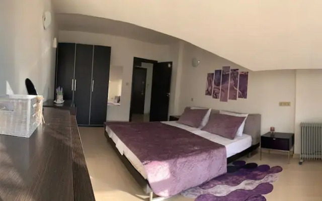 Bansko Spacious Art Apartment With Mountain Views