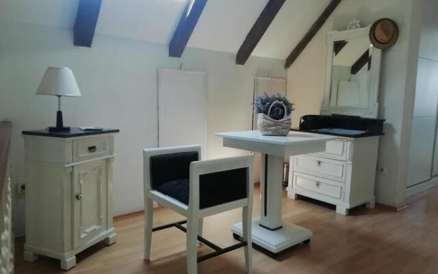 Studio apartman u renesansnoj vili
