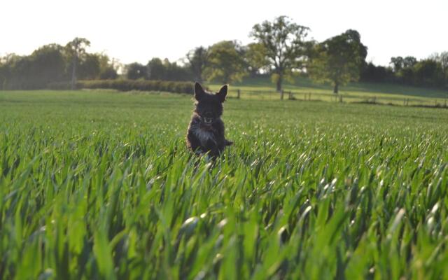 Pine Tree Lodge Bridgnorth