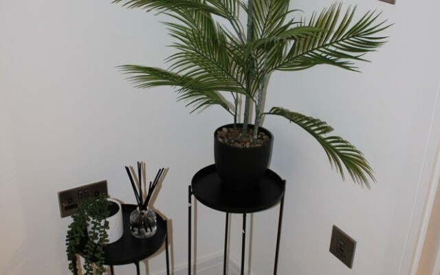 Luxury 1 Bed Apartment In The Heart Of Rochester
