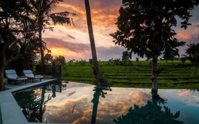 Lavillabali Rice Fields Terrace Canggu