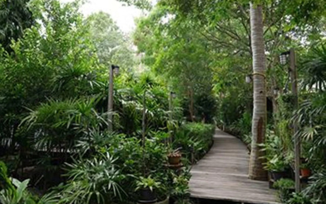 Sunset Cove Resort