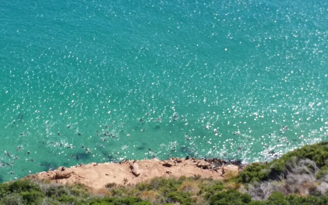 115 On Beachy Head Drive Guest House