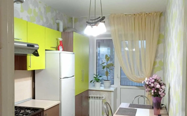 Apartments on the Volga embankment 209