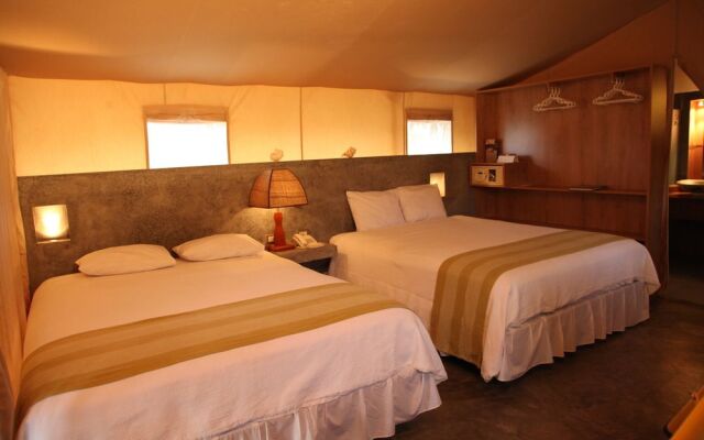 Vichayito Bungalows & Carpas