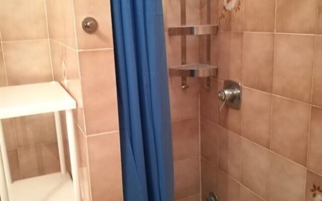 Home-holidays Sea-life