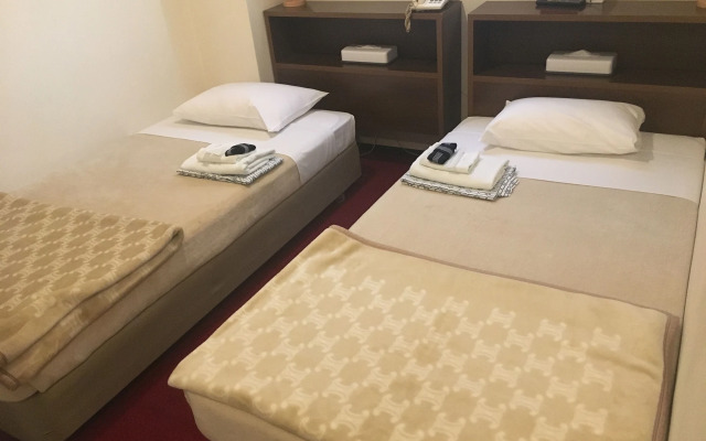 Hotel Yanagibasi - Hostel