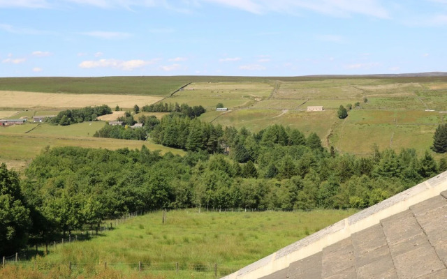 The Long View