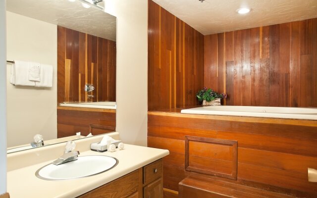 Snow Blaze Condos by Wyndham VR