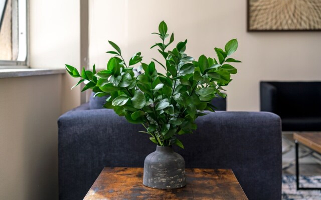 Barsala At The Luckman