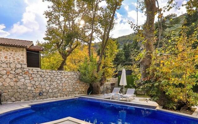 Villa Kozmos 1