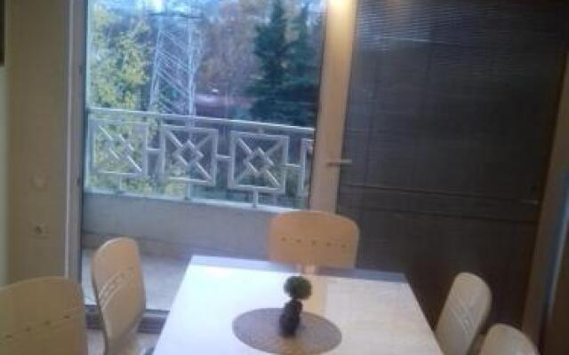 Fis Centar Apartment