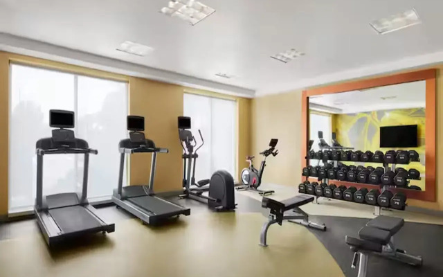 Hilton Garden Inn Denver South Park Meadows Area