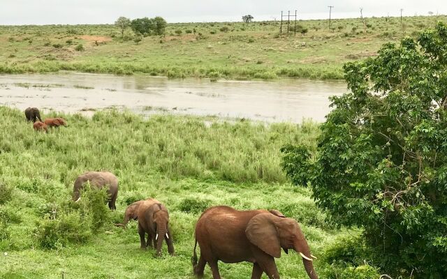 Elephant Walk Retreat