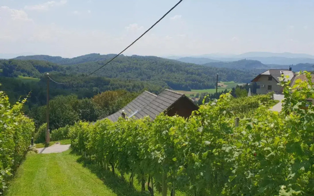Zidanica Meglič - Vineyard cottage Meglič