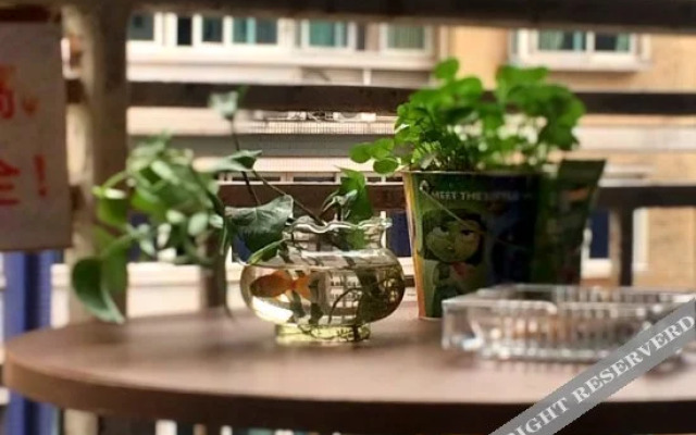 Red-Star Youth Hostel