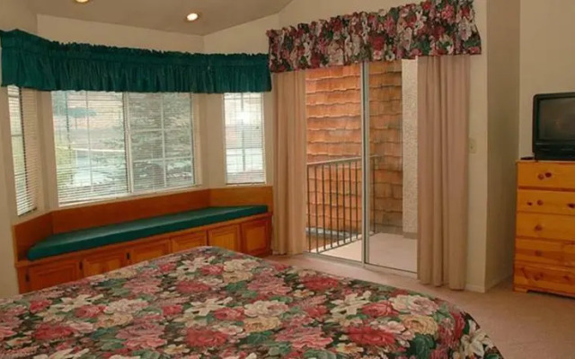 RedAwning Scope the Slopes #1162