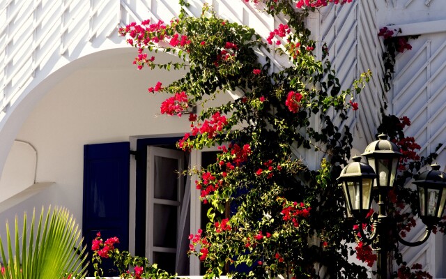 Blacksandy Beach Hotel